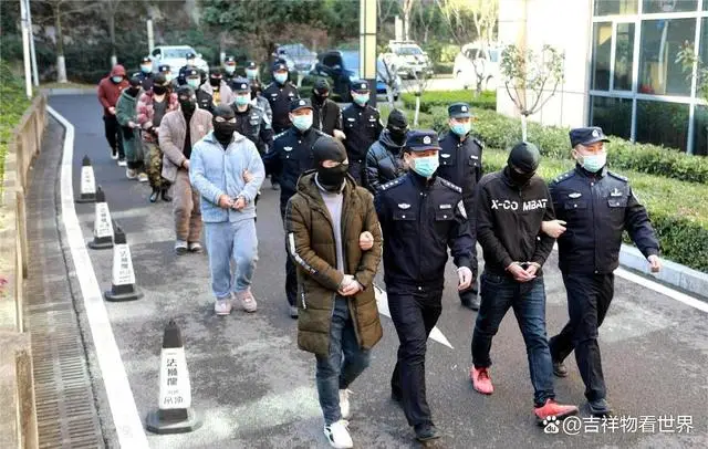 警察称自己接触的缅北电诈者95%是自愿 网友：啊这！