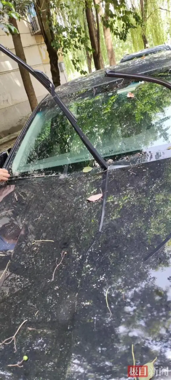 自动草稿
