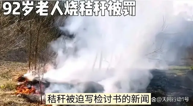 当地回应92岁老人烧秸秆被罚写检讨:口头批评难达效果 当地回应92岁老人烧秸秆被罚写检讨:口头批评难达效果