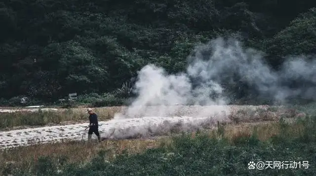 当地回应92岁老人烧秸秆被罚写检讨:口头批评难达效果 当地回应92岁老人烧秸秆被罚写检讨:口头批评难达效果