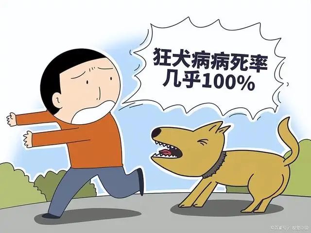 7岁男童被邻居家狗抓伤确诊狂犬病离世,邻居只愿意赔偿一万元 7岁男童被邻居家狗抓伤确诊狂犬病离世,邻居只愿意赔偿一万元