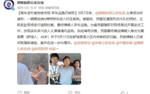 男子驾车进村偷狗被发现后弃车逃跑 民警将其抓获归案