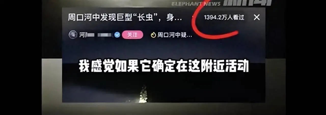 河南周口一村庄河中现巨型“长虫”？千万网友在线围观寻找！当地回应