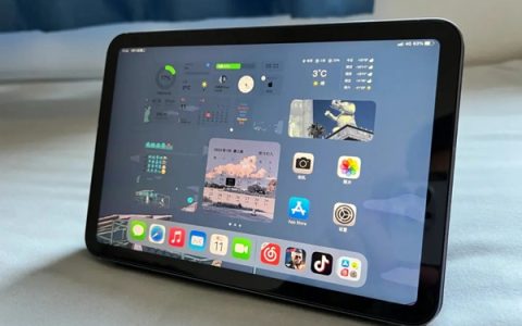ipad蜂窝版本如何设置网络数据连接？
