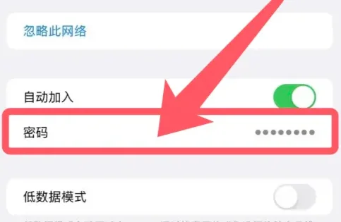 苹果15如何查看已连接WiFi的密码