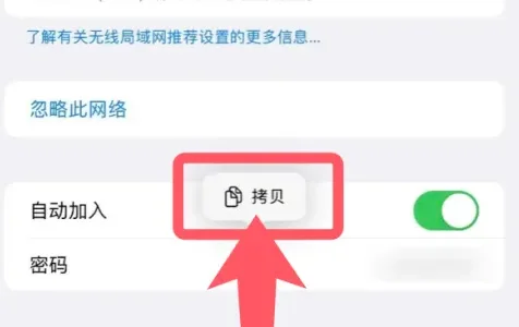 苹果15如何查看已连接WiFi的密码