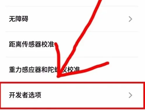 魅族20 Pro开发者选项的详细开启步骤