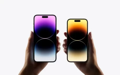 租机宝库全攻略：信用租赁轻松上手，科技新品触手可及